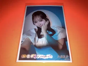오오모리 마호 AKB48 oh my pumpkin 세븐넷 특전 브로마이드