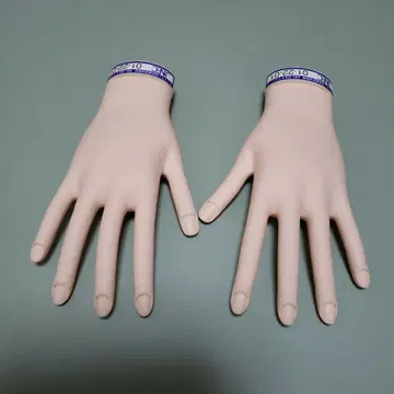 JNEC 인증 모델 핸드 양손 네일리스트 검정 네일 아트