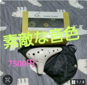 Focalink 오카리나 매트 화이트 케이스 포함