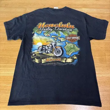 HARLEY DAVIDSON 티셔츠 블랙