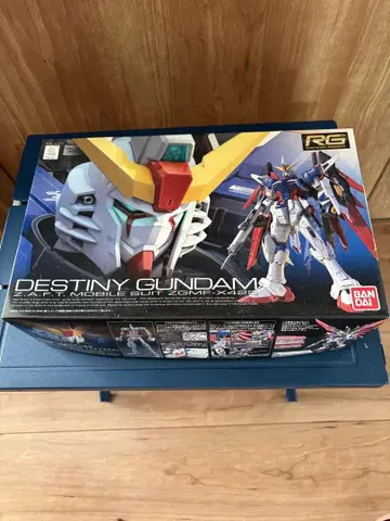RG DESTINY GUNDAM BANDAI