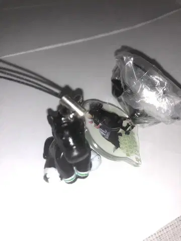 카푸코레 다논킹리 야스다 기념 2