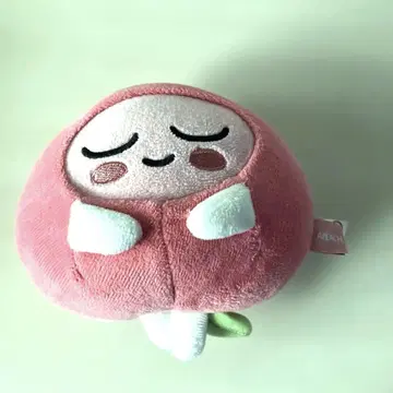 Kakao Friends Apeach 봉제 인형