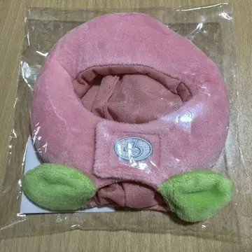 박보검 포레본 햇 Peach