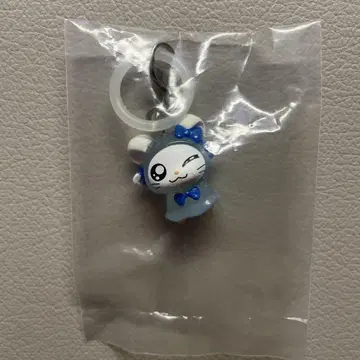 리본 짱, 방가방가 햄토리 메지루시 액세서리