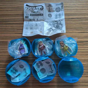 원피스 열매 제13해전 사카즈키 볼사리노 잇쇼 캡슐 없음 할인