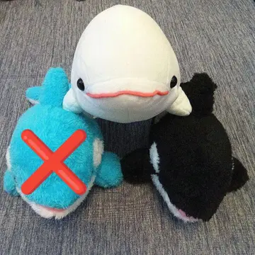 카모가와 씨월드 샤치 벨루가 봉제 인형