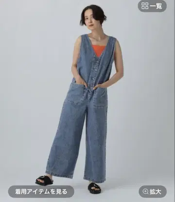 렙시임