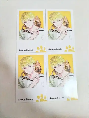 니지산지EN Noctyx with Cat 폴라로이드 써니 브리스코 4장