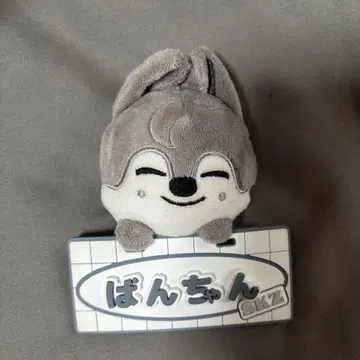 스키즈 straykids 방찬 백참 skztoyworld