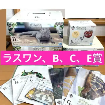 파충류 제일복권 라스트원, B, C, E상 덤 포함
