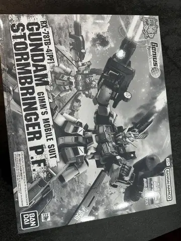 MG GUNDAM STORMBRINGER P.F. 1/100