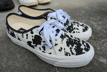 VANS 카우 패턴 로우컷 스니커즈