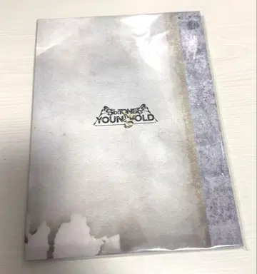 [ 새상품급 ] SixTONES YOUNGOLD 투어 팜플렛