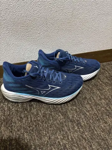 Mizuno 웨이브 라이더 28 러닝화 베이퍼플라이