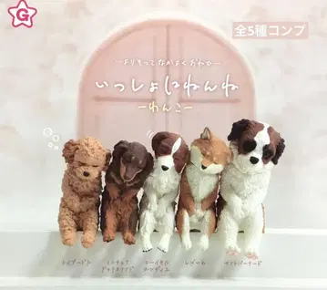 함께 잠자는 강아지~ 총 5종 컴플리트