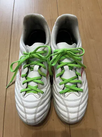 Mizuno 모나르시다 네오 24