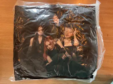 BLACK PINK world tour 쿠션