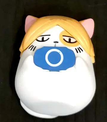 하이큐 앉은 쵸콘 켄마 고양이