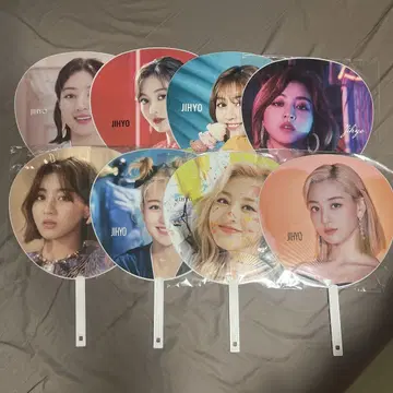 부채 지효