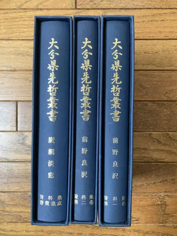 오이타현 선철총서 마에노 료타쿠 히로세 탄소