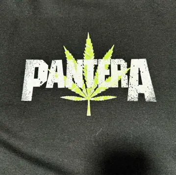 [공식] PANTERA 후드티 XL