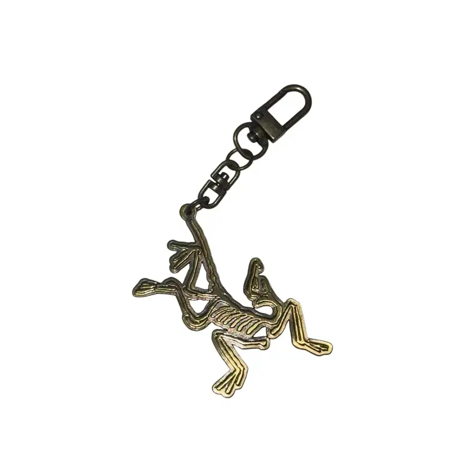 ARC'TERYX | 아크테릭스 Arcteryx keyring #아크테릭스,#키링 on