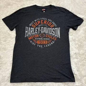 Harley-Davidson M 사이즈 티셔츠 다크 그레이 싱가포르