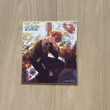 프로세카 시노노메 아키토 색지