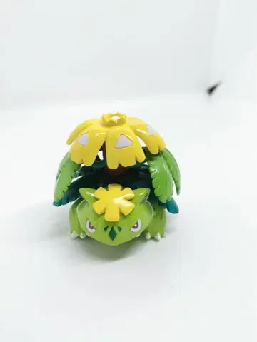 몬코레 메가이상해꽃 이로치가이