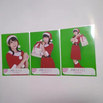 높은 산봉우리 나데시코 시로츠키 나오 사진 컴프