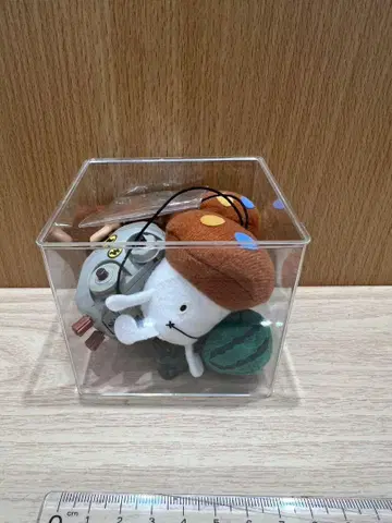 버섯 캐릭터 봉제 인형 세트
