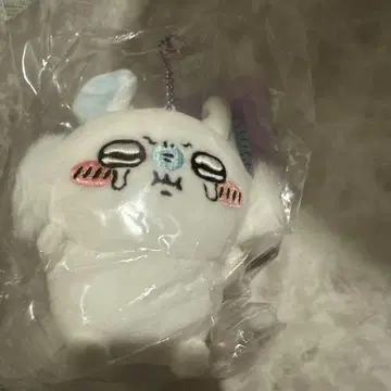 치이카와 PUN. 마스코트 (모몽가)