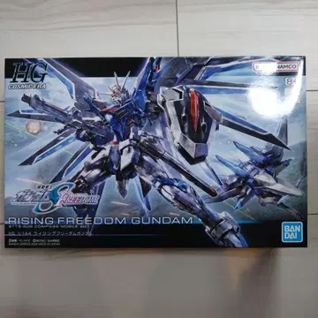 RISING FREEDOM GUNDAM 1/144