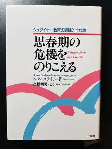 [귀중서] 사춘기의 위기를 넘어서 : 슈타이너 교육의 실천적 십대론