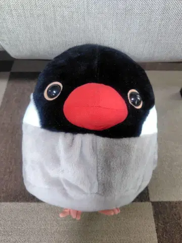 코토리대 핀치 약 33개