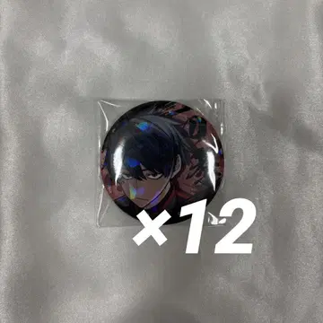 도원암귀 홀로그램 캔뱃지 vol.6 이치노세 사계절