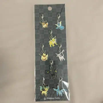 포켓몬 메탈 참 이브이 이브이프렌즈