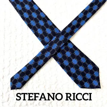 STEFANO RICCI 스테파노 리치 넥타이 블랙 x 파랑