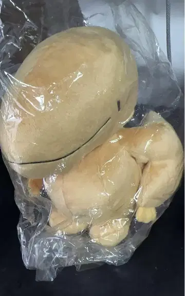 공룡 시작했습니다. 꼬뻬 봉제 인형 S 3개