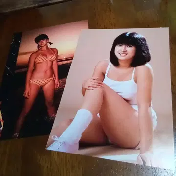 카와이 나오코 키리누키 카드 포함
