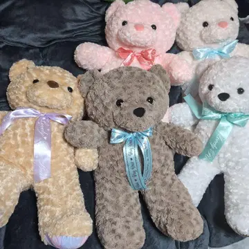 곰 봉제 인형 5체 세트