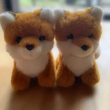 여우 봉제 인형 2마리