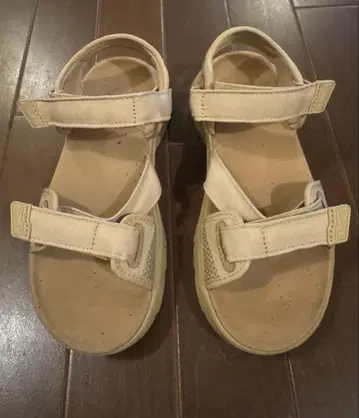 teva zymic