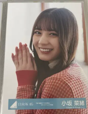 히나타자카46 브로마이드 코사카 나오 요리