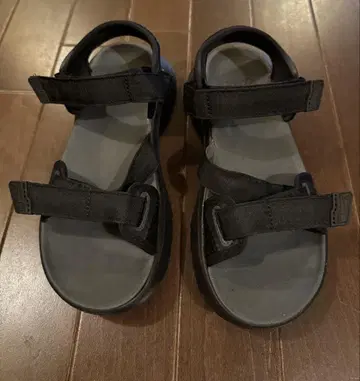 Teva zymic