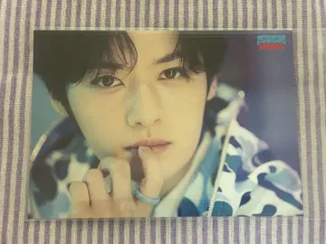 POPUP StrayKids SKZ 사우나 렌트레 리노