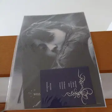 ZARD OFFICIAL FANCLUB Calendar 2009