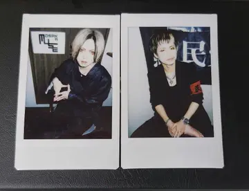 DIAURA yo-ka 쇼야 체키