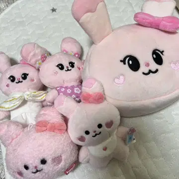 Nizoo 뿅뿅 세트